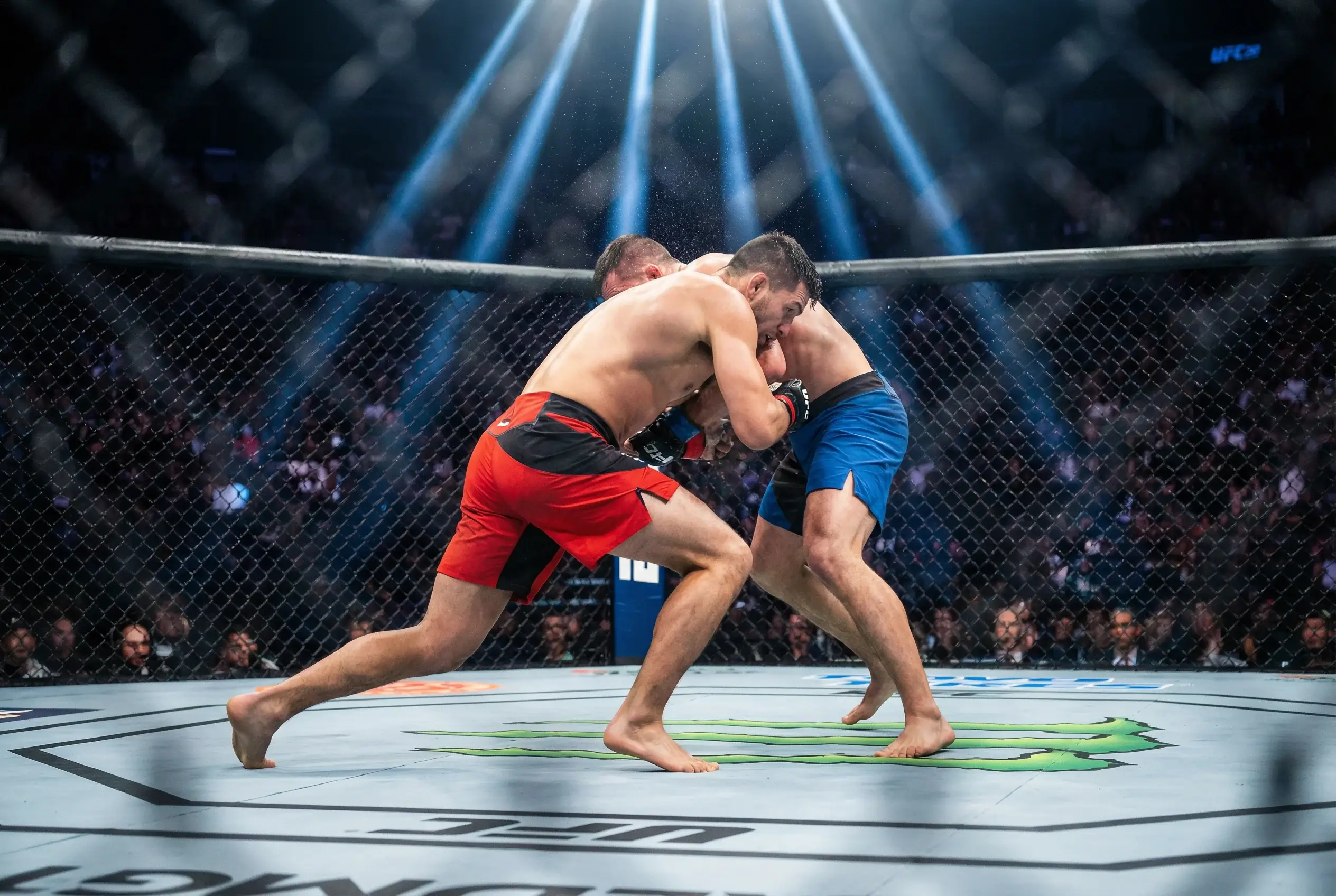 Lutador de MMA em octógono durante combate profissional
